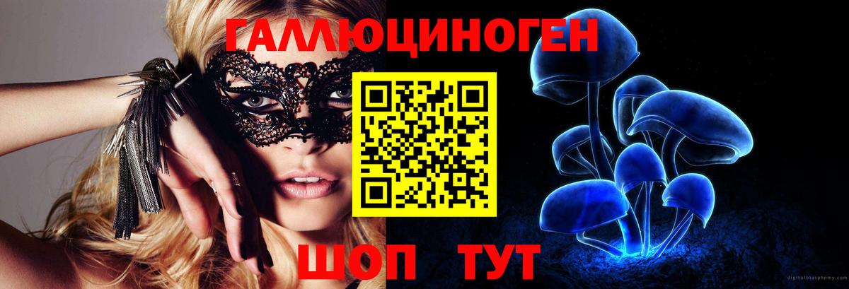 Фрязино  Псилоцибиновые грибы мицелий  Вход с VPN 